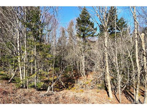 Lot 86-103 Fundy Dr, Wilsons Beach, NB 