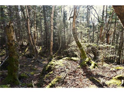 Lot 86-103 Fundy Dr, Wilsons Beach, NB 