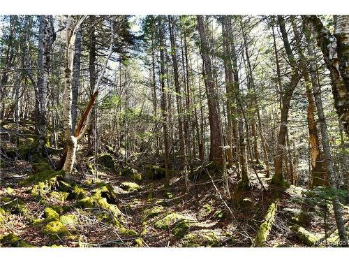 Lot 86-103 Fundy Dr, Wilsons Beach, NB 