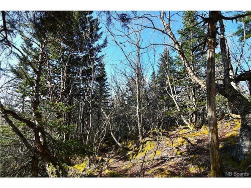 Lot 86-103 Fundy Dr, Wilsons Beach, NB 