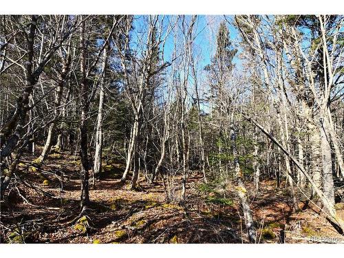 Lot 86-103 Fundy Dr, Wilsons Beach, NB 