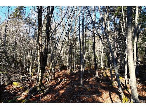 Lot 86-103 Fundy Dr, Wilsons Beach, NB 