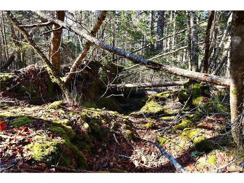 Lot 86-103 Fundy Dr, Wilsons Beach, NB 