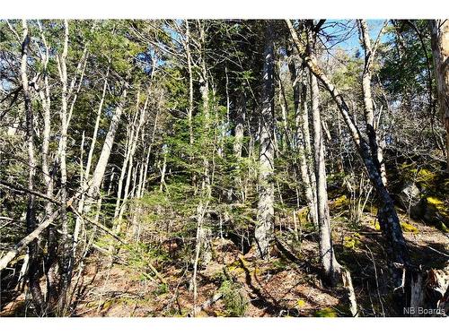 Lot 86-103 Fundy Dr, Wilsons Beach, NB 