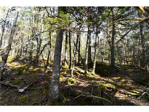 Lot 86-103 Fundy Dr, Wilsons Beach, NB 