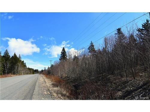 Lot 88-109 Bunker Hill Rd, Wilsons Beach, NB 