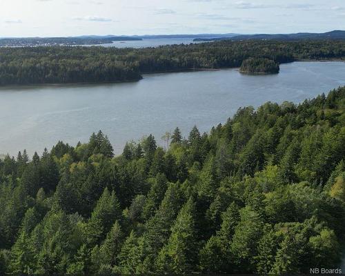 Lot 88-109 Bunker Hill Rd, Wilsons Beach, NB 