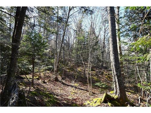 Lot 88-109 Bunker Hill Rd, Wilsons Beach, NB 