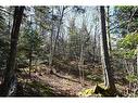 Lot 88-109 Bunker Hill Rd, Wilsons Beach, NB 