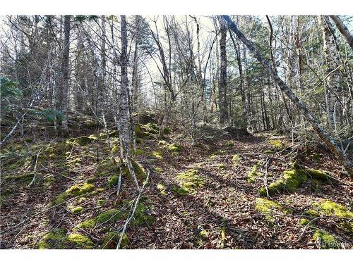 Lot 88-109 Bunker Hill Rd, Wilsons Beach, NB 