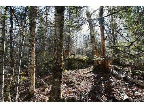 Lot 88-109 Bunker Hill Rd, Wilsons Beach, NB 