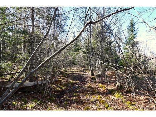 Lot 88-109 Bunker Hill Rd, Wilsons Beach, NB 