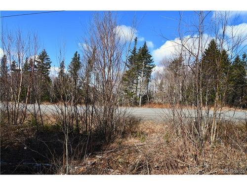 Lot 88-109 Bunker Hill Rd, Wilsons Beach, NB 