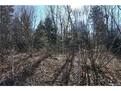 Lot 88-109 Bunker Hill Rd, Wilsons Beach, NB 