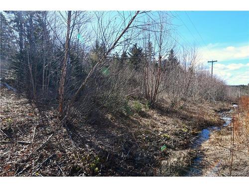 Lot 88-109 Bunker Hill Rd, Wilsons Beach, NB 