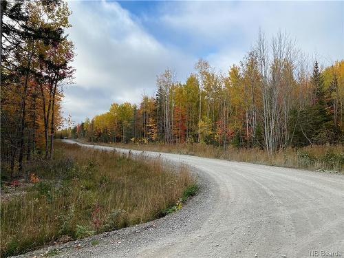 Lot Caleah Lane, Hanwell, NB 