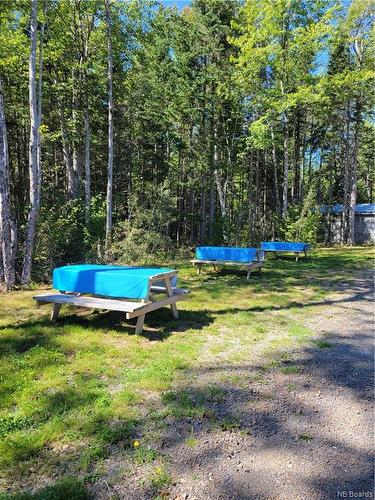 10965 Route 10, Youngs Cove, NB 