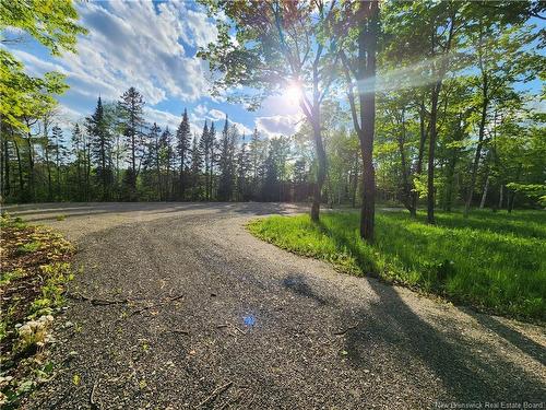 - Undine Rd, Drummond, NB 