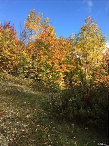 0 Harriet O'Ree Rd, Waterford, NB 