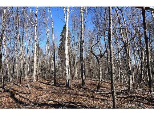 - Fundy Dr, Wilsons Beach, NB 