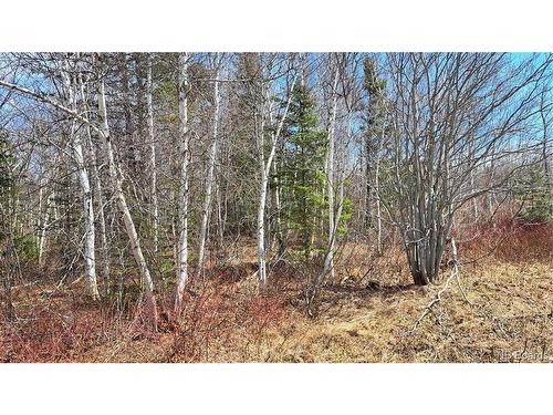 1.28 Acres Chemin Four Roads, Four Roads, NB 