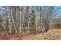 1.28 Acres Chemin Four Roads, Four Roads, NB 