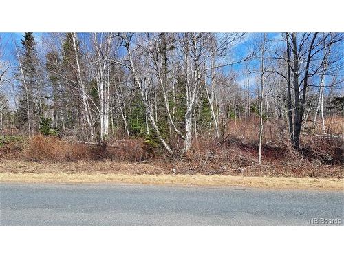 1.28 Acres Chemin Four Roads, Four Roads, NB 