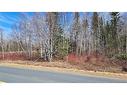 1.28 Acres Chemin Four Roads, Four Roads, NB 