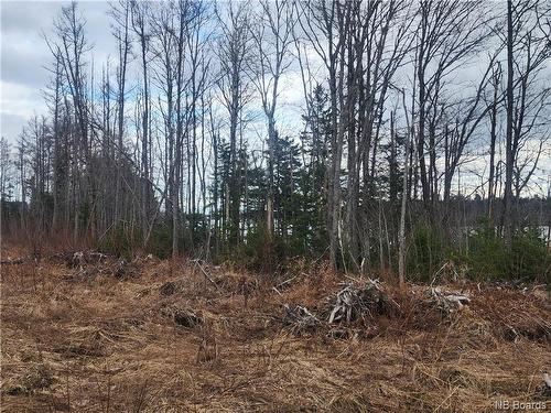 10.9 Acres North Black River Rd, Black River Bridge, NB 