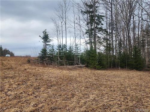 10.9 Acres North Black River Rd, Black River Bridge, NB 