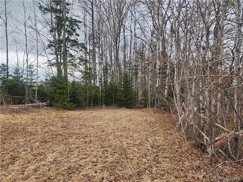 10.9 Acres North Black River Rd, Black River Bridge, NB 