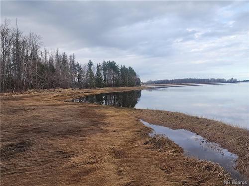 10.9 Acres North Black River Rd, Black River Bridge, NB 