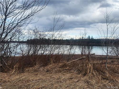 10.9 Acres North Black River Rd, Black River Bridge, NB 