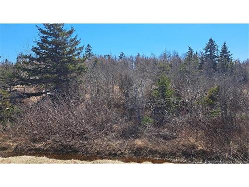 8.9Hec-1 Rue Acadie, Grande-Anse, NB 