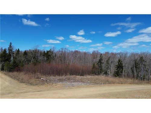 Lot Moser Wy, Central Hainesville, NB 