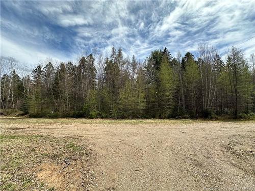 Lot 23-1 Country Shore Lane, Codys, NB 