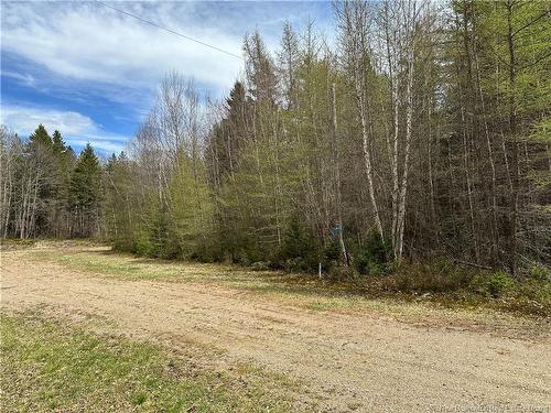 Lot 23-1 Country Shore Lane, Codys, NB 