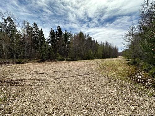 Lot 23-1 Country Shore Lane, Codys, NB 