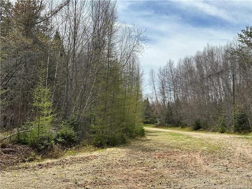 Lot 23-1 Country Shore Lane, Codys, NB 