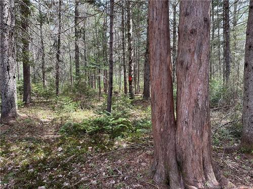 Lot 23-1 Country Shore Lane, Codys, NB 