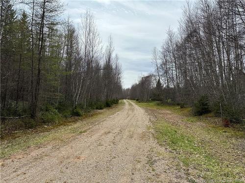 Lot 23-1 Country Shore Lane, Codys, NB 