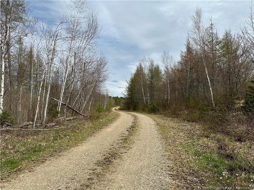 Lot 23-1 Country Shore Lane, Codys, NB 