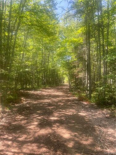 - Cox Point Rd, Cumberland Bay, NB 