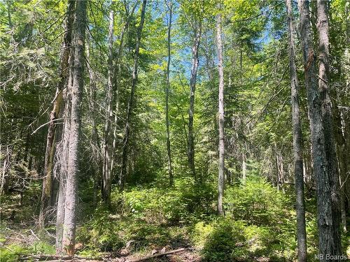 - Cox Point Rd, Cumberland Bay, NB 