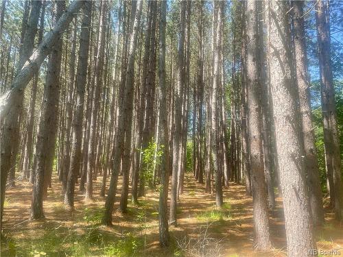 - Cox Point Rd, Cumberland Bay, NB 