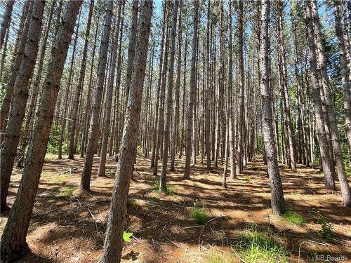 - Cox Point Rd, Cumberland Bay, NB 