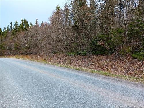 88-101 Bunker Hill, Campobello Island, NB 