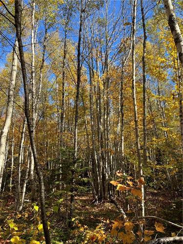 Lot Scotch Settlement Rd, Irishtown, NB 