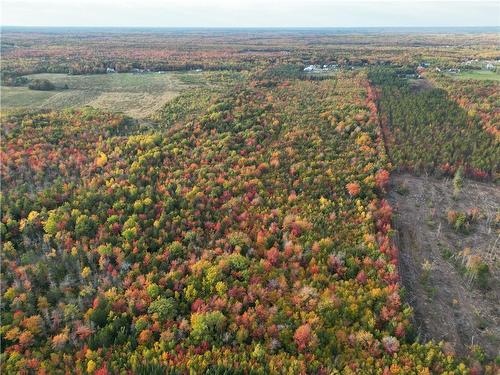 Lot Scotch Settlement Rd, Irishtown, NB 