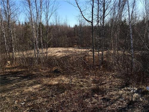22-4 Edmond, Cocagne, NB 